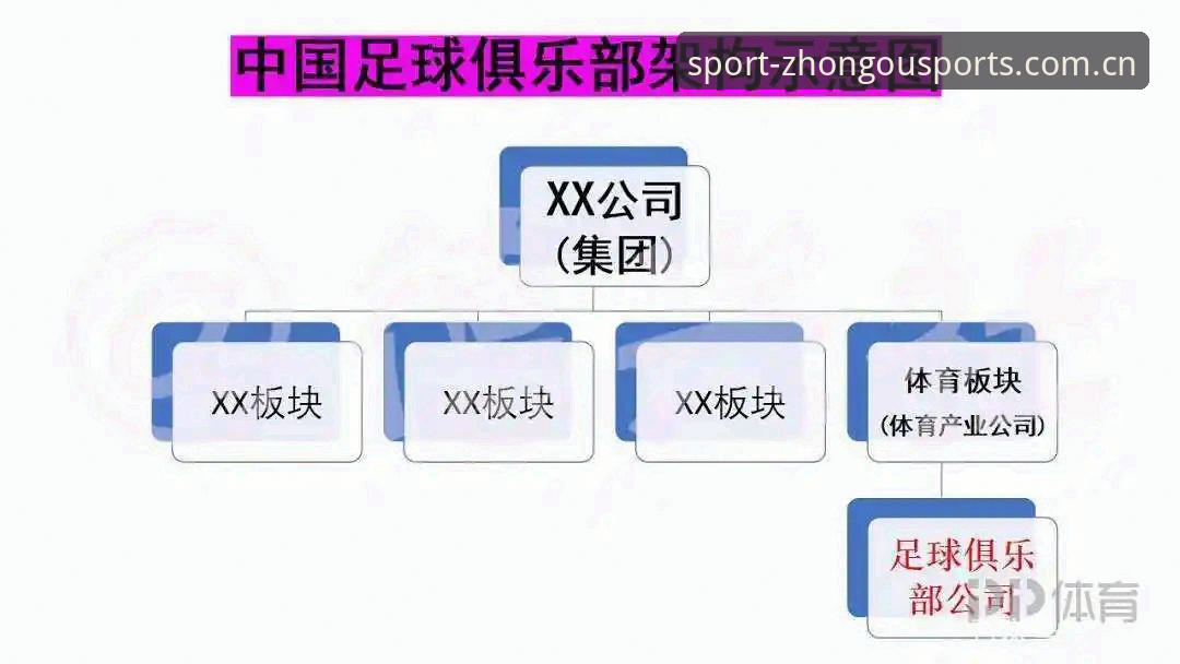 老用户分享：中欧体育平台使用教程，从下载到实战的完整心得
